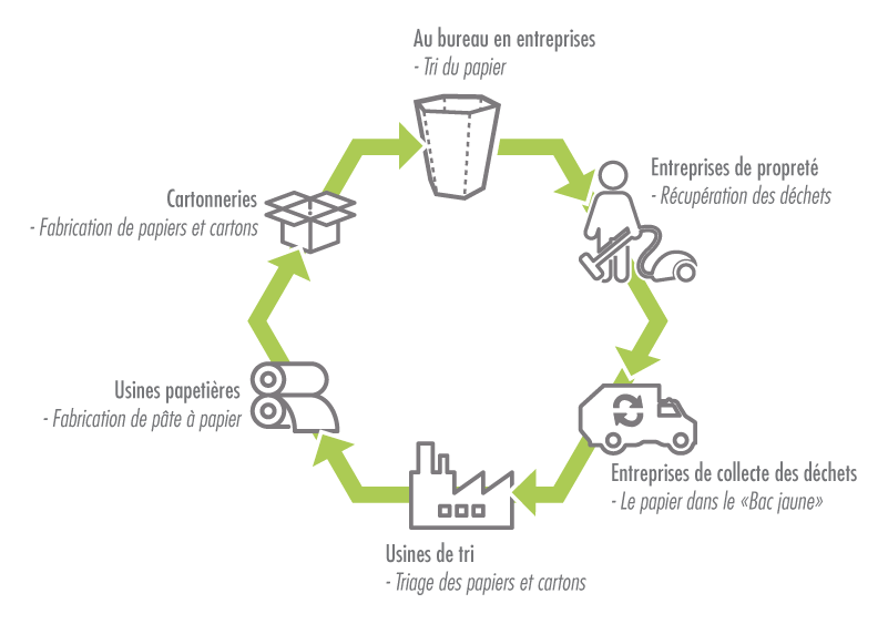 tri du papier, cycle du recyclage